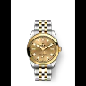 Tudor Black Bay 31 S&G, 316L Stainless Steel and 18k Yellow Gold, Ref# M79603-0005