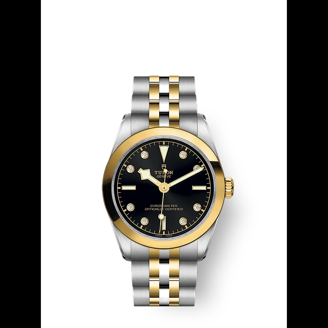 Tudor Black Bay 31 S&G, 316L Stainless Steel and 18k Yellow Gold, Ref# M79603-0006