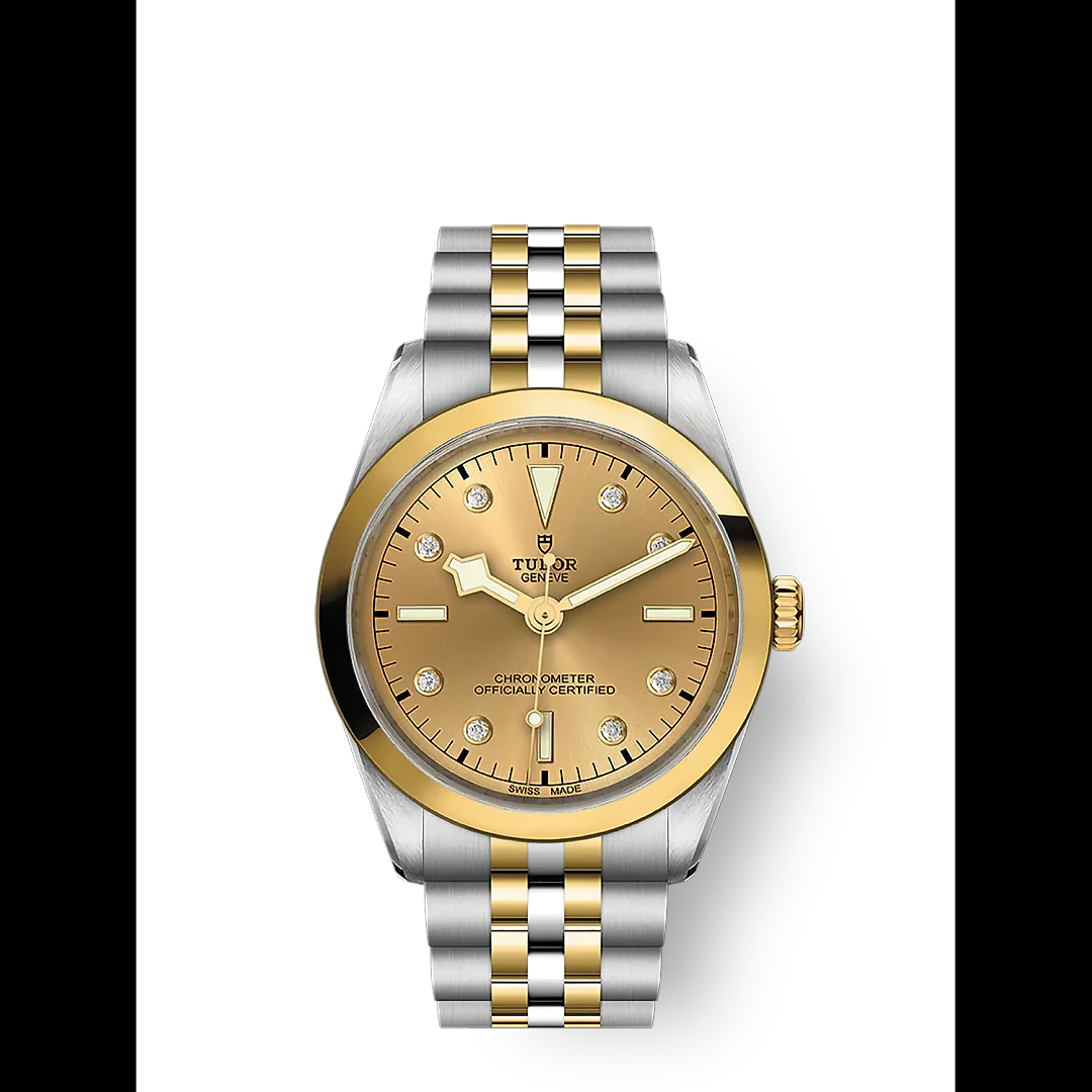 Tudor Black Bay 36 S&G, 316L Stainless Steel and 18k Yellow Gold, Ref# M79643-0008