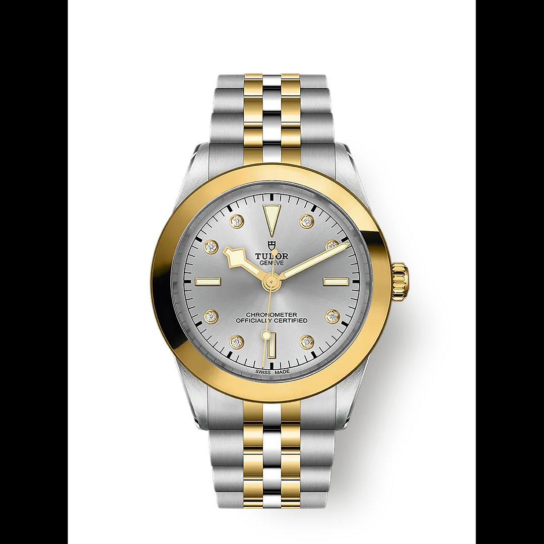 Tudor Black Bay 39 S&G, 316L Stainless Steel and 18k Yellow Gold, Ref# M79663-0007
