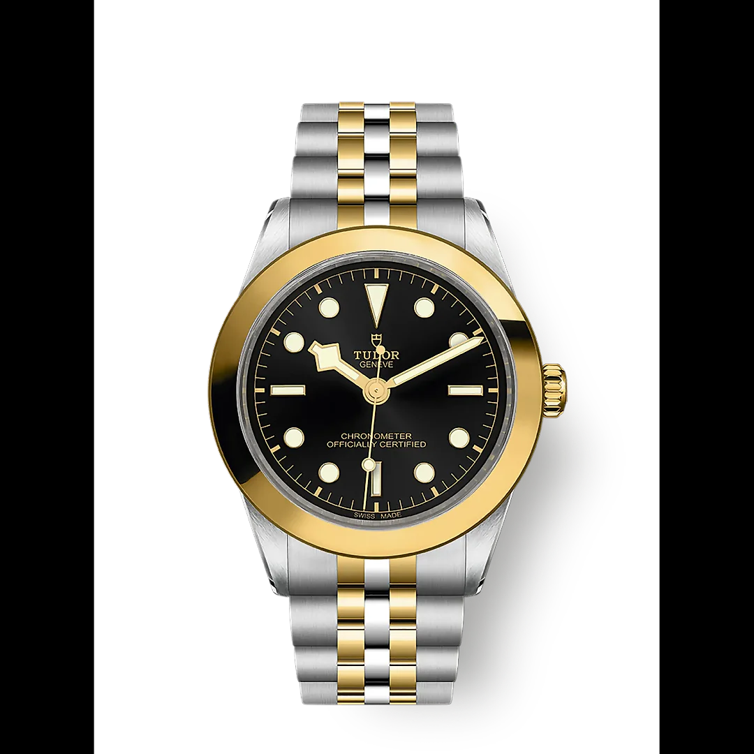 Tudor Black Bay 39 S&G, 316L Stainless Steel and 18k Yellow Gold, Ref# M79663-0001