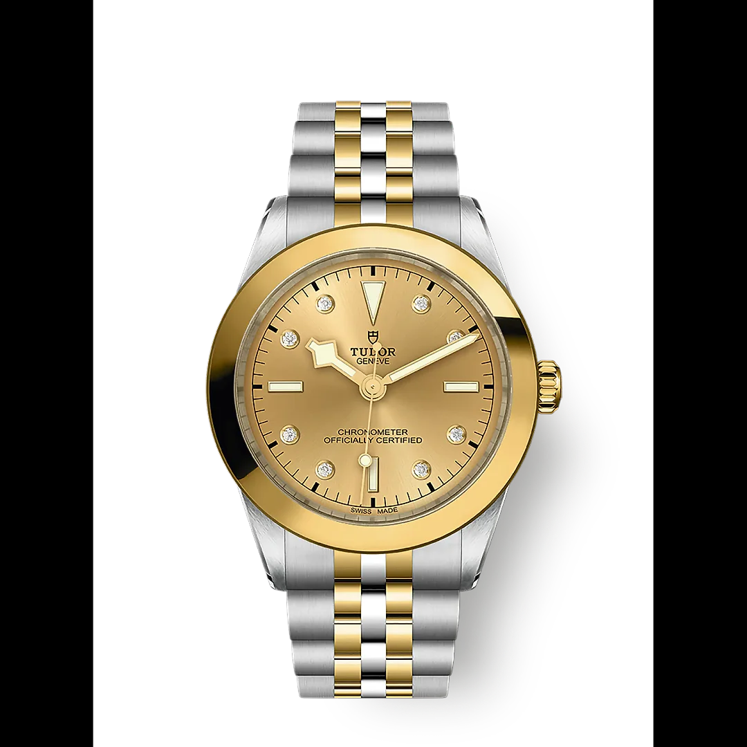 Tudor Black Bay 39 S&G, 316L Stainless Steel and 18k Yellow Gold, Ref# M79663-0008