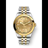Tudor Black Bay 39 S&G, 316L Stainless Steel and 18k Yellow Gold, Ref# M79663-0008