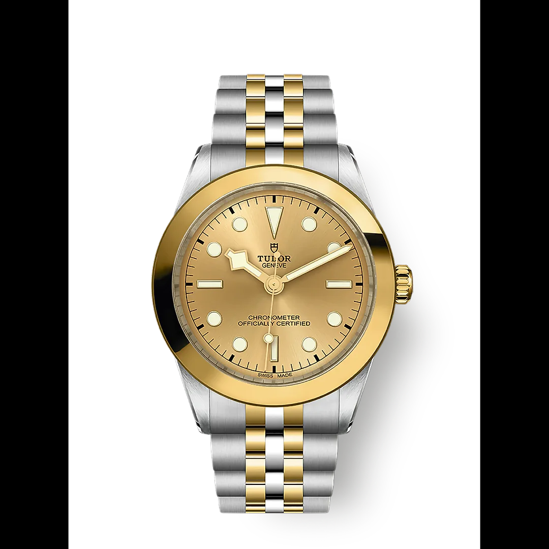Tudor Black Bay 39 S&G, 316L Stainless Steel and 18k Yellow Gold, Ref# M79663-0005