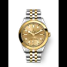 Tudor Black Bay 39 S&G, 316L Stainless Steel and 18k Yellow Gold, Ref# M79663-0005