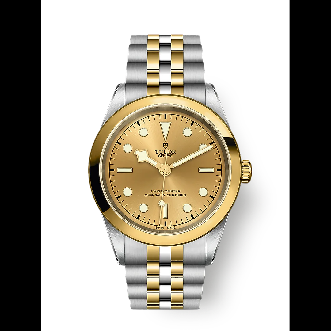 Tudor Black Bay 41 S&G, 316L Stainless Steel and 18k Yellow Gold, Ref# M79683-0005