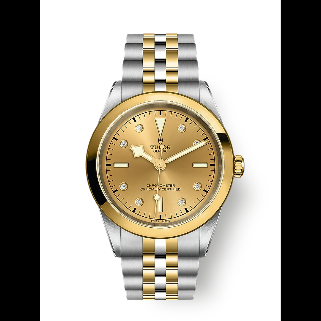 Tudor Black Bay 41 S&G, 316L Stainless Steel and 18k Yellow Gold, Ref# M79683-0008