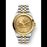 Tudor Black Bay 41 S&G, 316L Stainless Steel and 18k Yellow Gold, Ref# M79683-0008