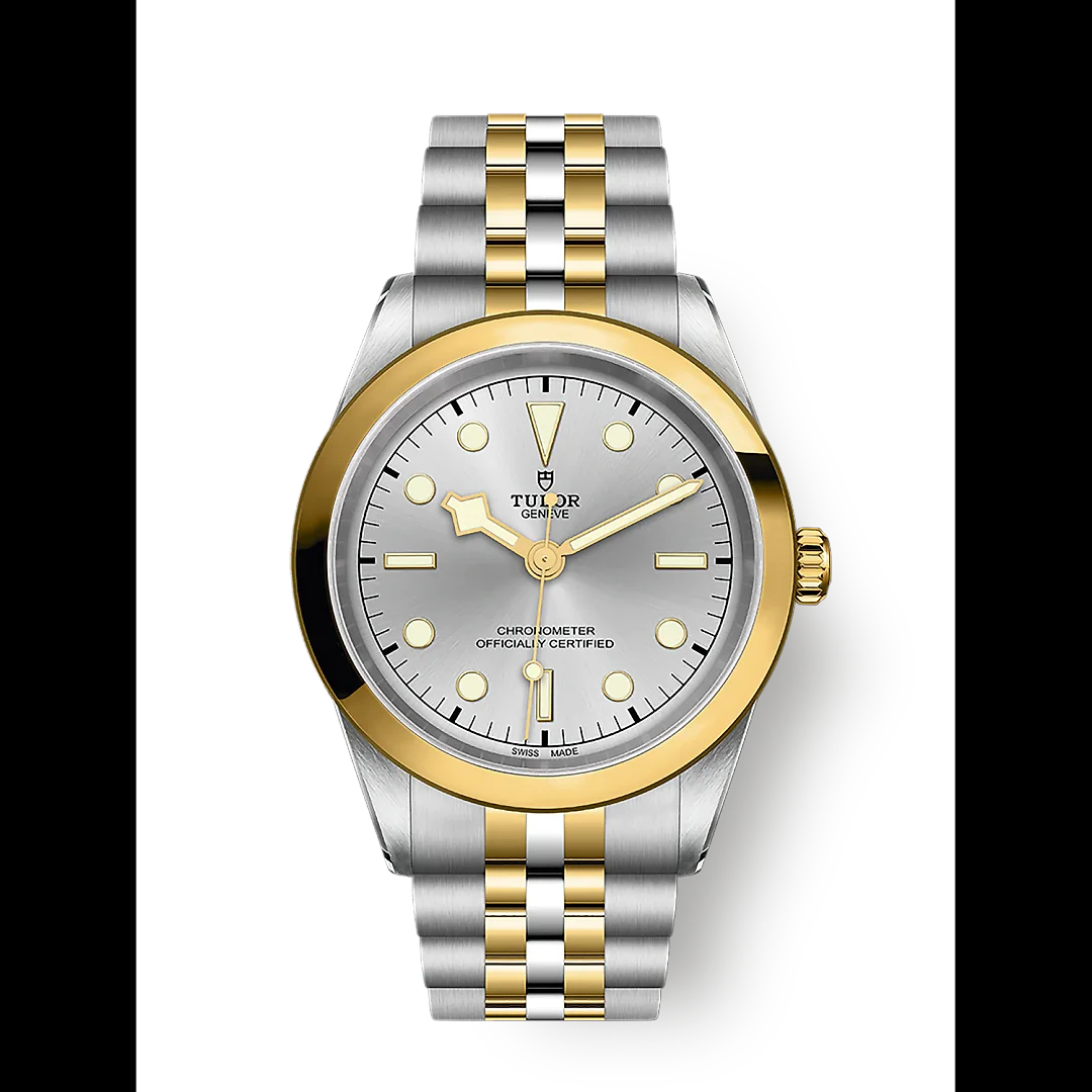 Tudor Black Bay 41 S&G, Stainless Steel and 18k Yellow Gold, Ref# M79683-0002