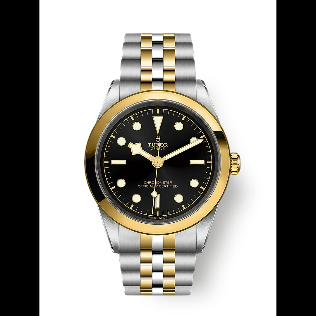 Tudor Black Bay 41 S&G, Stainless Steel and 18k Yellow Gold, Ref# M79683-0001