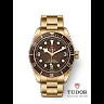 Tudor Black Bay Fifty-Eight ‘Boutique Edition’, Bronze, 39mm, Ref# M79012M-0001