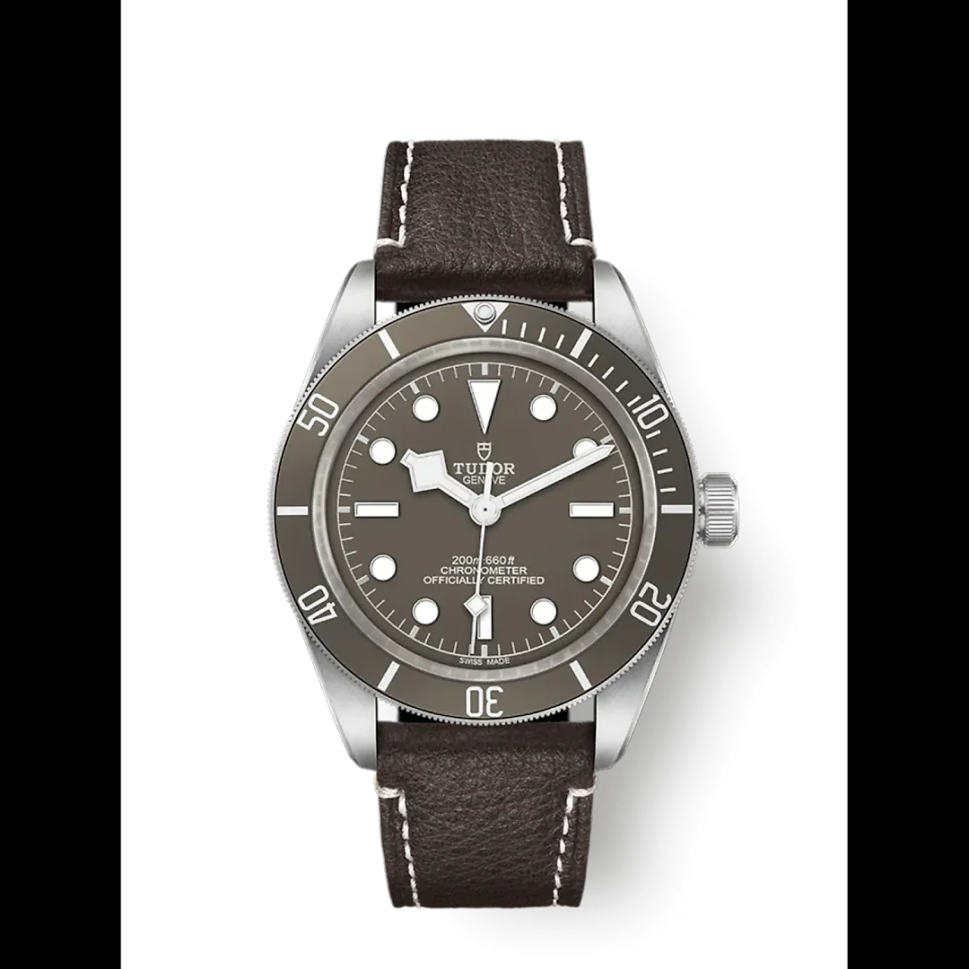 Tudor Black Bay Fifty-Eight 925, 39mm, 925 Silver, Ref# M79010SG-0001
