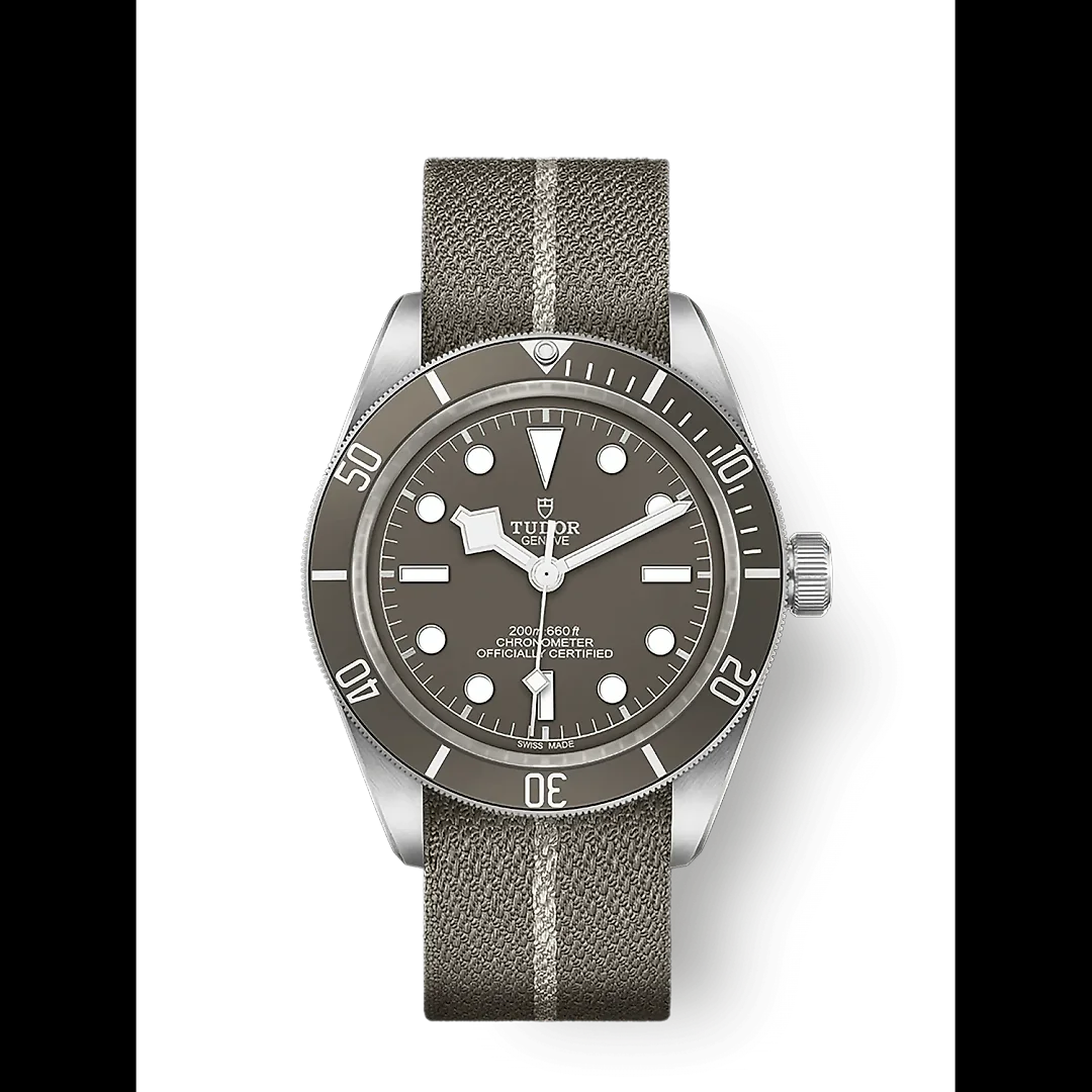 Tudor Black Bay Fifty-Eight 925, 39mm, 925 Silver, Ref# M79010SG-0002