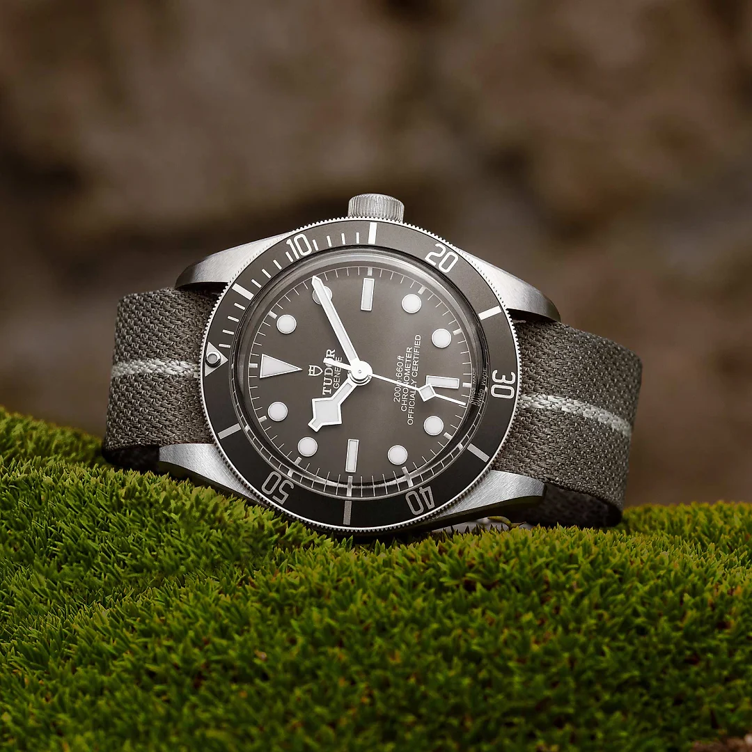 Tudor Black Bay Fifty-Eight 925, 39mm, 925 Silver, Ref# M79010SG-0002