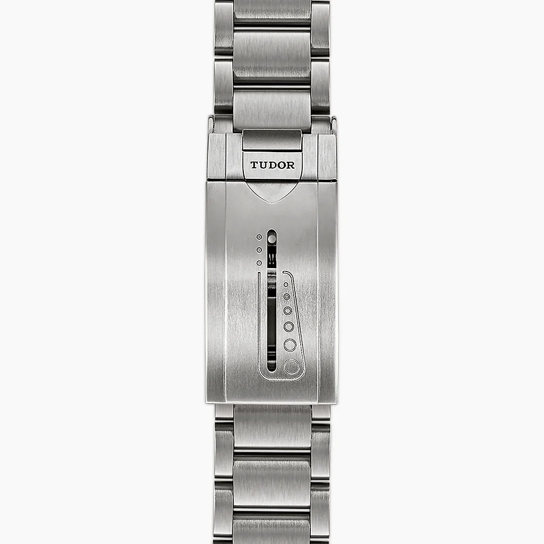 Tudor Pelagos, Titanium, 42mm, Ref# M25600TN-0001